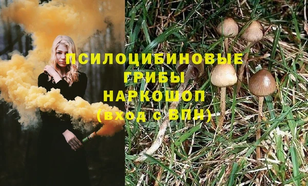 МДПВ Абаза