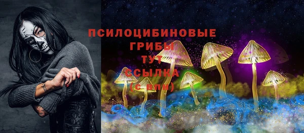 МДПВ Абаза